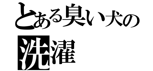 とある臭い犬の洗濯（）