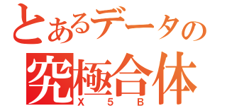 とあるデータの究極合体（Ｘ５Ｂ）