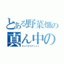 とある野菜畑の真ん中の（キャベタリアンＪｒ．）