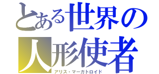 とある世界の人形使者（アリス・マーガトロイド）