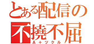 とある配信の不撓不屈（Ａ＋ツクル）