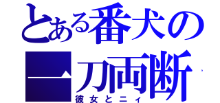 とある番犬の一刀両断（彼女とニィ）