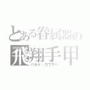 とある眷属器の飛翔手甲（バルド・カウザー）