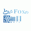 とあるＦＯＸの激細目（ほそーい）