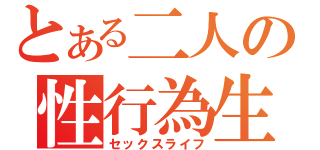 とある二人の性行為生活（セックスライフ）