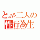 とある二人の性行為生活（セックスライフ）