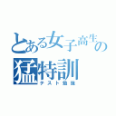 とある女子高生の猛特訓（テスト勉強）