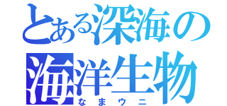 とある深海の海洋生物（なまウニ）