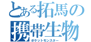 とある拓馬の携帯生物（ポケットモンスター）