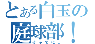 とある白玉の庭球部！（そふてにっ）