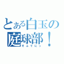 とある白玉の庭球部！（そふてにっ）