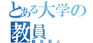 とある大学の教員（観光芸人）