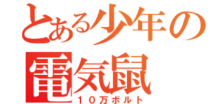 とある少年の電気鼠（１０万ボルト）