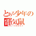 とある少年の電気鼠（１０万ボルト）