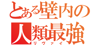 とある壁内の人類最強（リヴァイ）