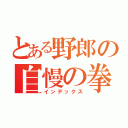 とある野郎の自慢の拳（インデックス）