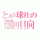 とある球社の袴田日向（蘿莉最高）