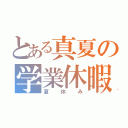 とある真夏の学業休暇（夏休み）