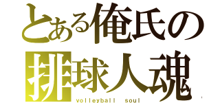 とある俺氏の排球人魂（ｖｏｌｌｅｙｂａｌｌ  ｓｏｕｌ）