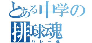 とある中学の排球魂（バレー魂）