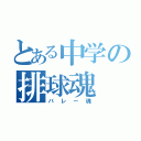 とある中学の排球魂（バレー魂）