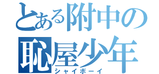 とある附中の恥屋少年（シャイボーイ）