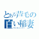 とある芦毛の白い稲妻（ライスシャワー）