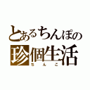 とあるちんぽの珍個生活（ちんこ）