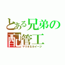 とある兄弟の配管工（マリオ＆ルイージ）