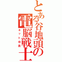 とある谷地頭の電脳戦士（ネット住民）