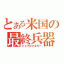 とある米国の最終兵器（シュワルツネガー）