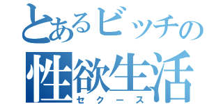 とあるビッチの性欲生活（セクース）