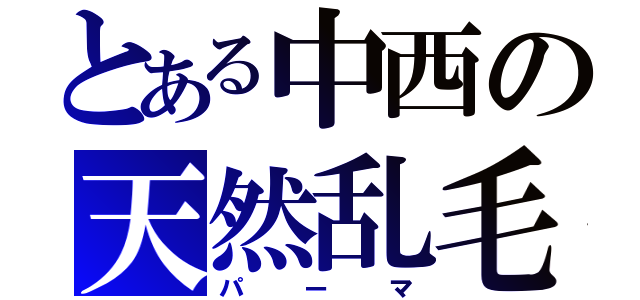 とある中西の天然乱毛（パーマ）