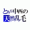 とある中西の天然乱毛（パーマ）