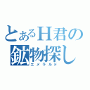 とあるＨ君の鉱物探し（エメラルド）