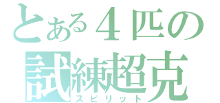 とある４匹の試練超克（スピリット）