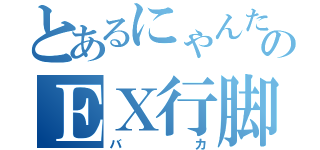 とあるにゃんたのＥＸ行脚（バカ）