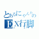 とあるにゃんたのＥＸ行脚（バカ）