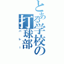 とある学校の打球部（バレー）