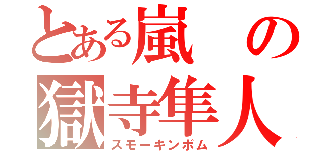 とある嵐の獄寺隼人（スモーキンボム）