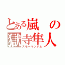 とある嵐の獄寺隼人（スモーキンボム）