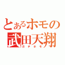 とあるホモの武田天翔（ガチホモ）