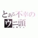 とある不幸のウニ頭（上条さん）