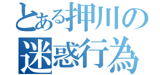 とある押川の迷惑行為（）