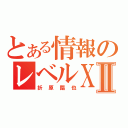 とある情報のレベルⅩⅡ（折原臨也）