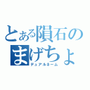 とある隕石のまげちょ（デュアルネーム）