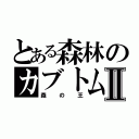 とある森林のカブトムシⅡ（森の王）