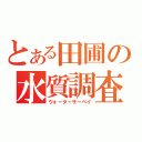 とある田圃の水質調査（ウォーターサーベイ）