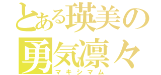 とある瑛美の勇気凛々（マキシマム）