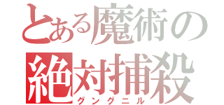 とある魔術の絶対捕殺（グングニル）